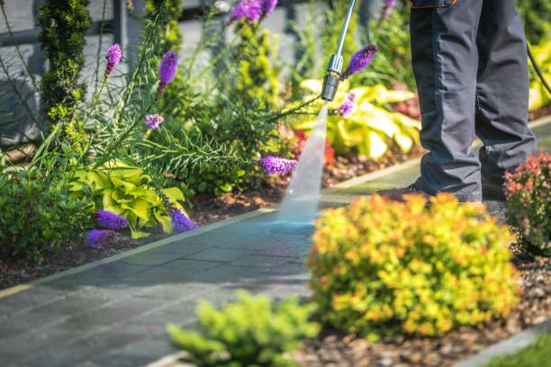 Best Gutter Cleaning  in Hurlburt Field, FL
