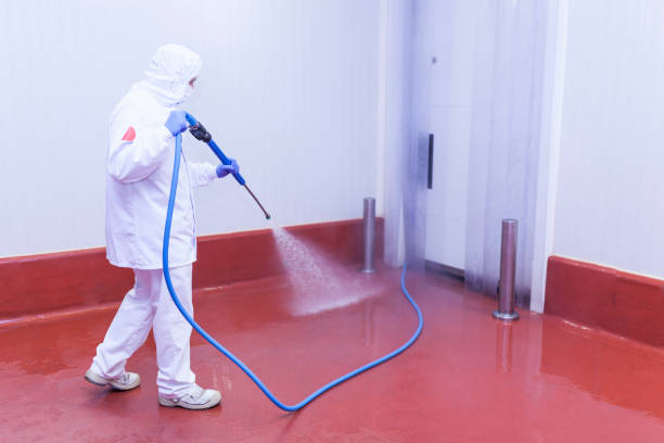 Best House Exterior Washing  in Hurlburt Field, FL